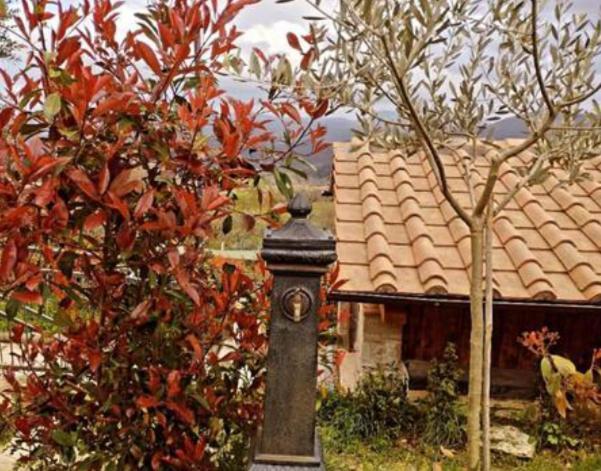 Il Podere Di Massi Barberino di Mugello Exteriör bild
