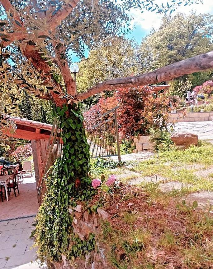 Il Podere Di Massi Barberino di Mugello Exteriör bild