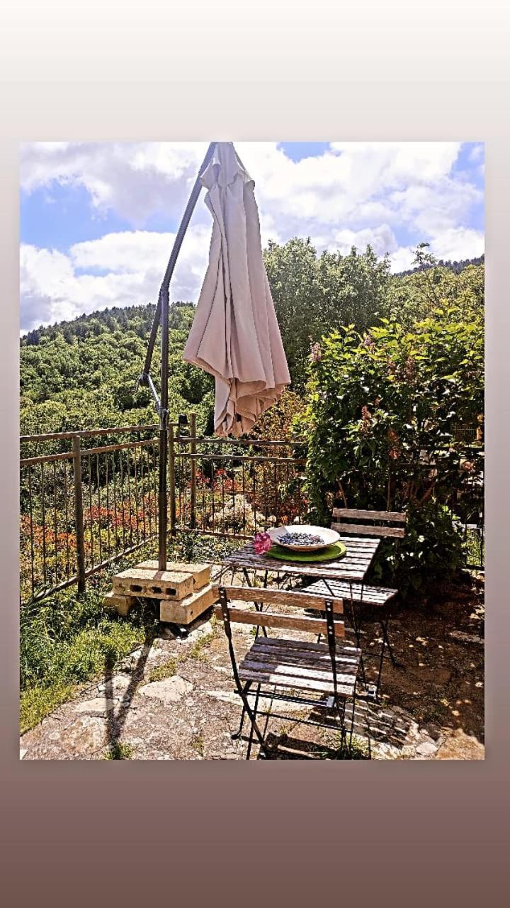 Il Podere Di Massi Barberino di Mugello Exteriör bild