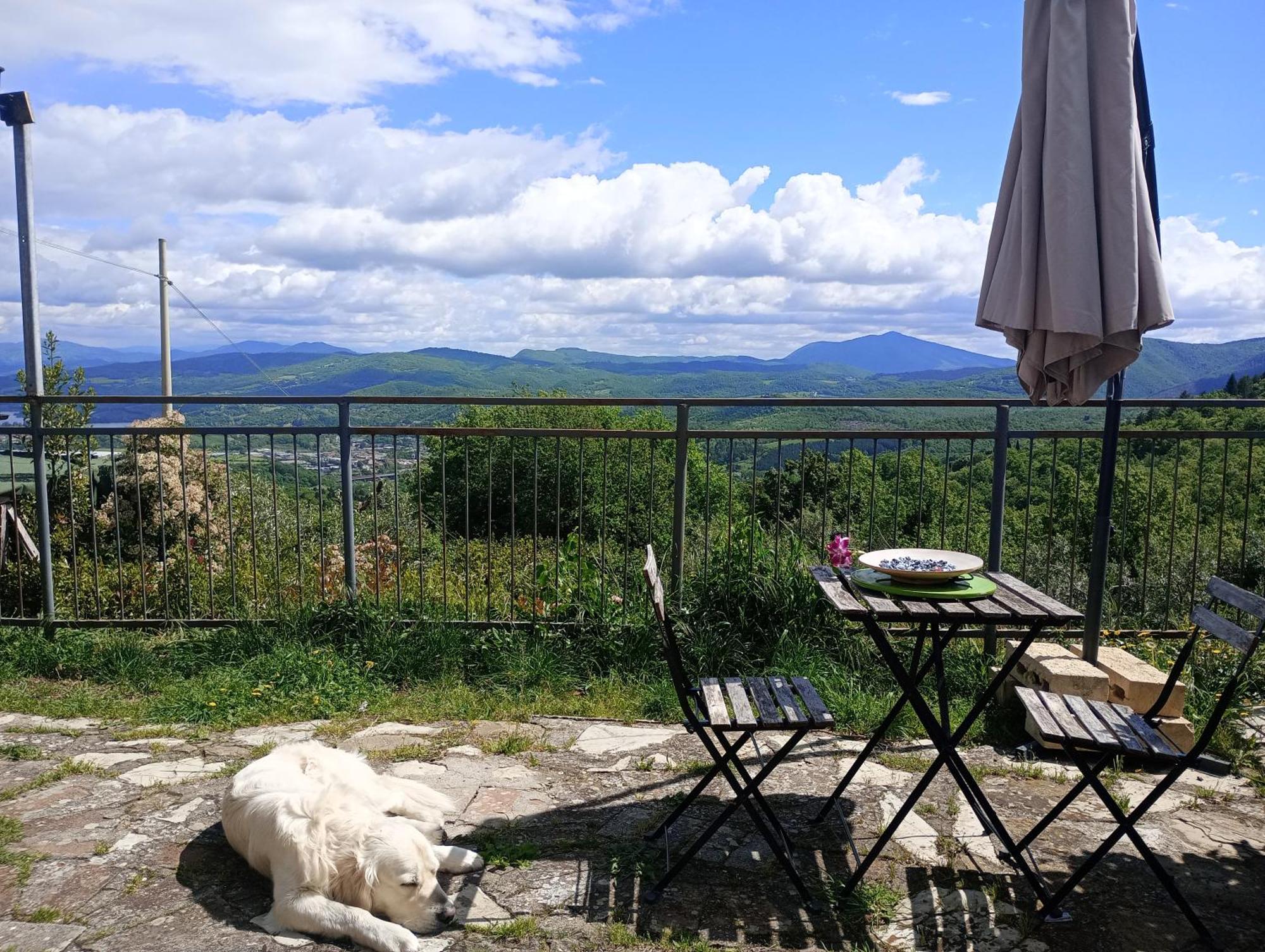 Il Podere Di Massi Barberino di Mugello Rum bild