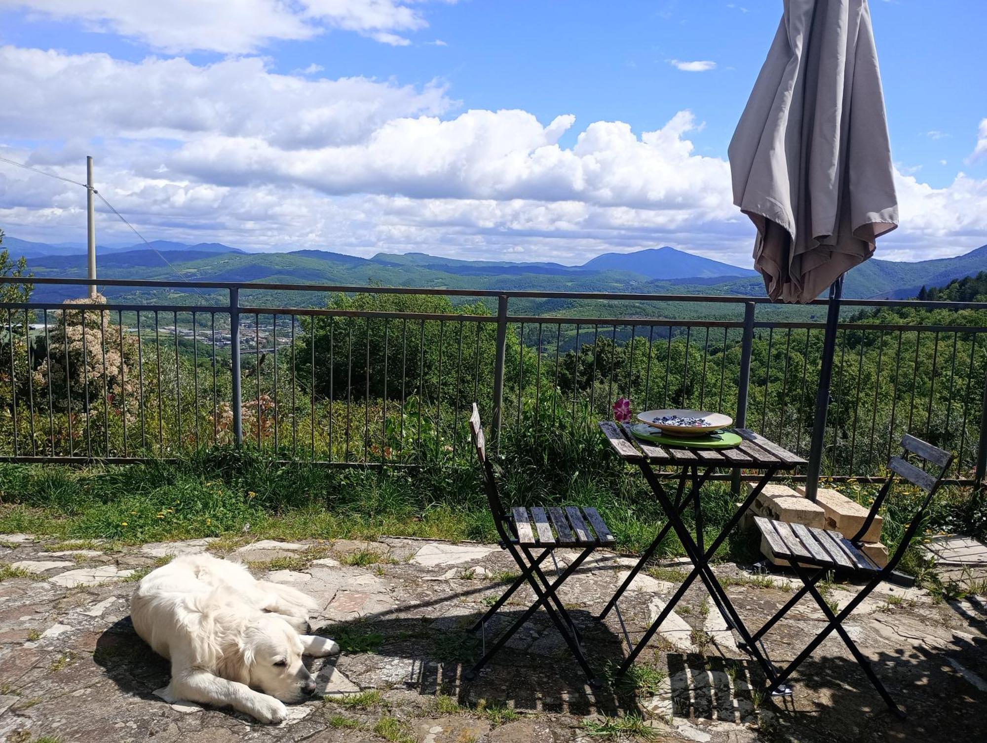 Il Podere Di Massi Barberino di Mugello Exteriör bild