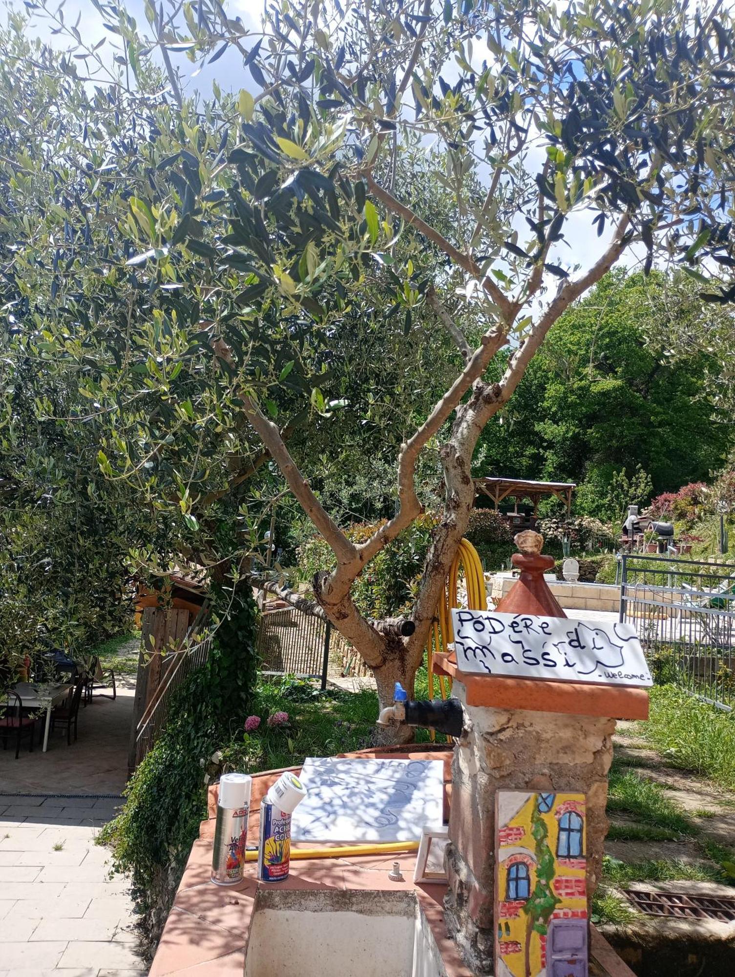 Il Podere Di Massi Barberino di Mugello Exteriör bild