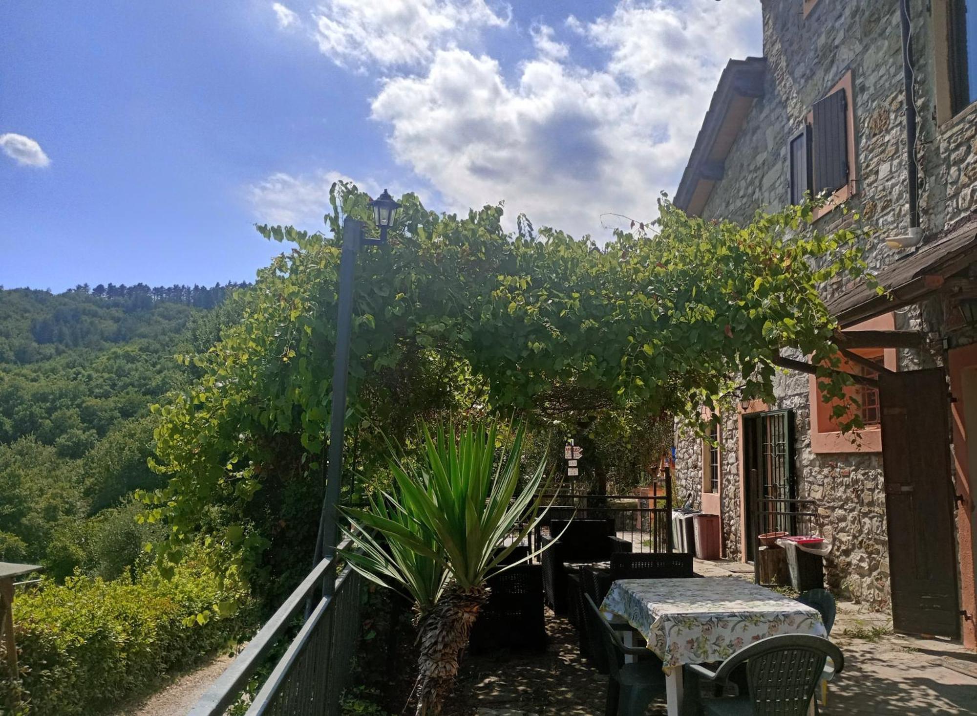 Il Podere Di Massi Barberino di Mugello Exteriör bild